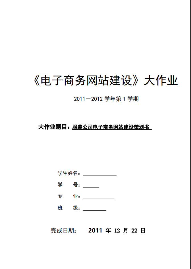 服装公司电子商务网站建设策划书Word范文模板