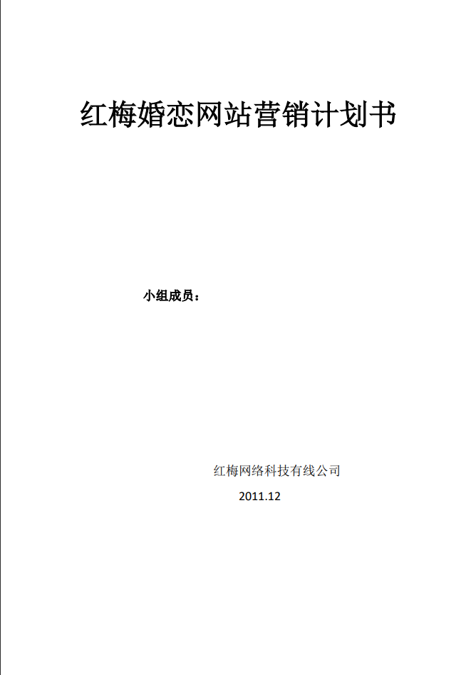 婚恋网站营销计划书Word范文模板